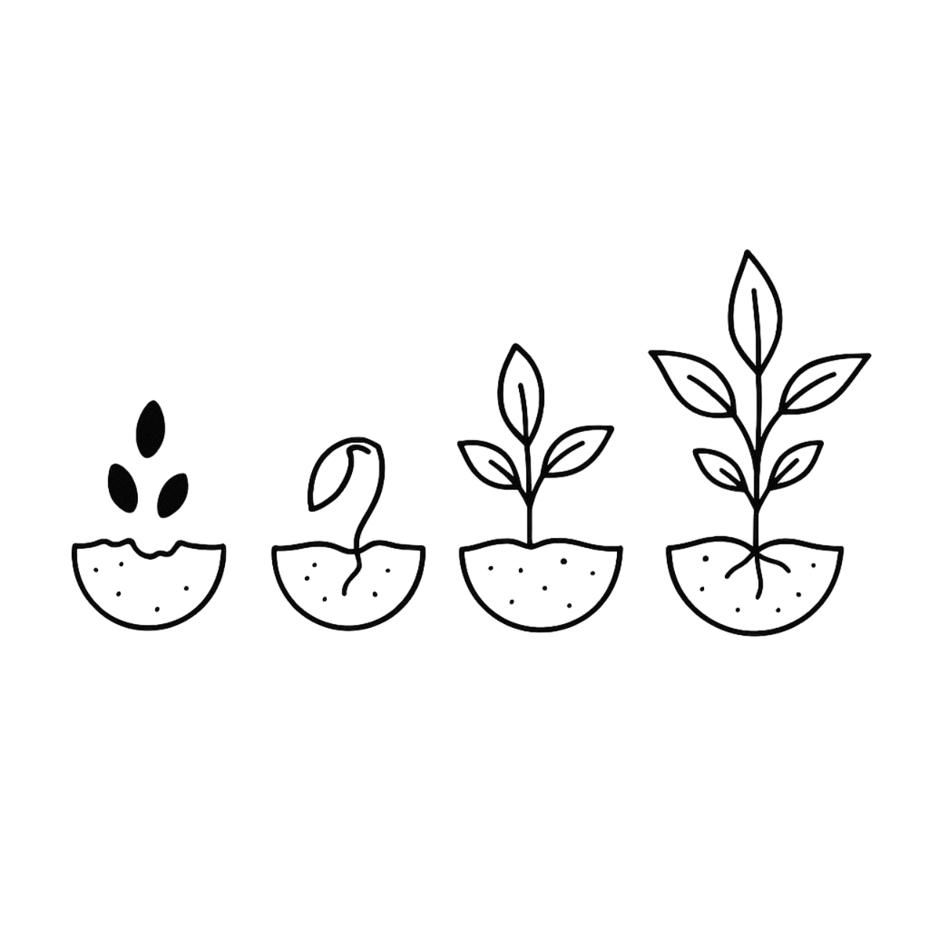 Dekoracja